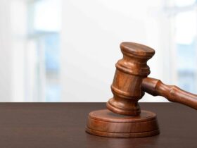 Martelo de juiz de madeira apoiado em suporte