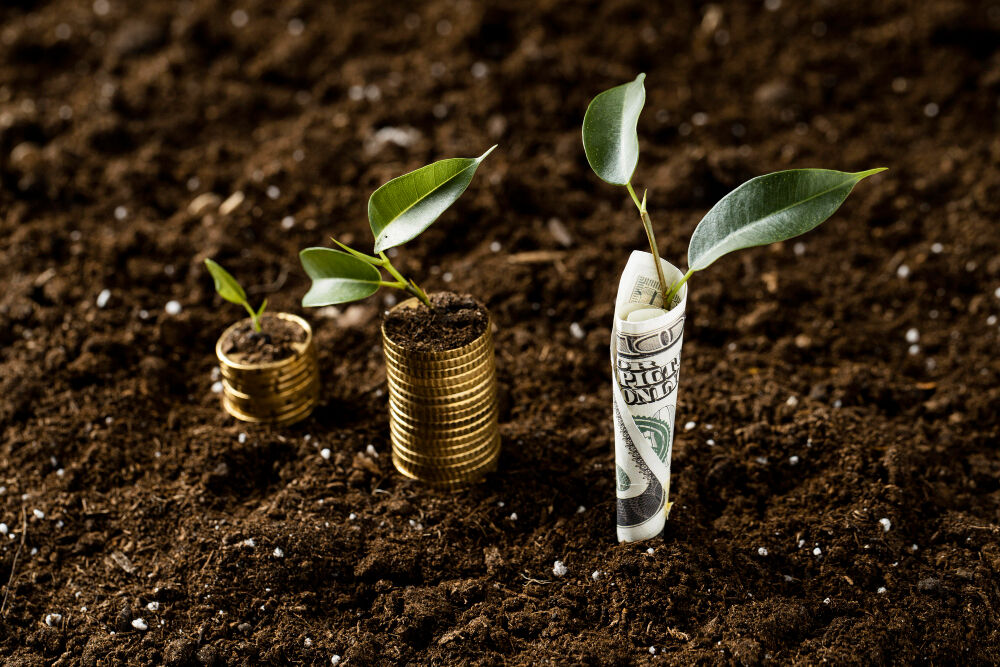 Plantas crescendo a partir de moedas e dinheiro.